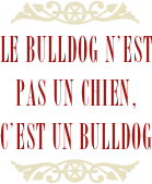 ￼
le bulldog n’est pas un chien, c’est un bulldog
￼